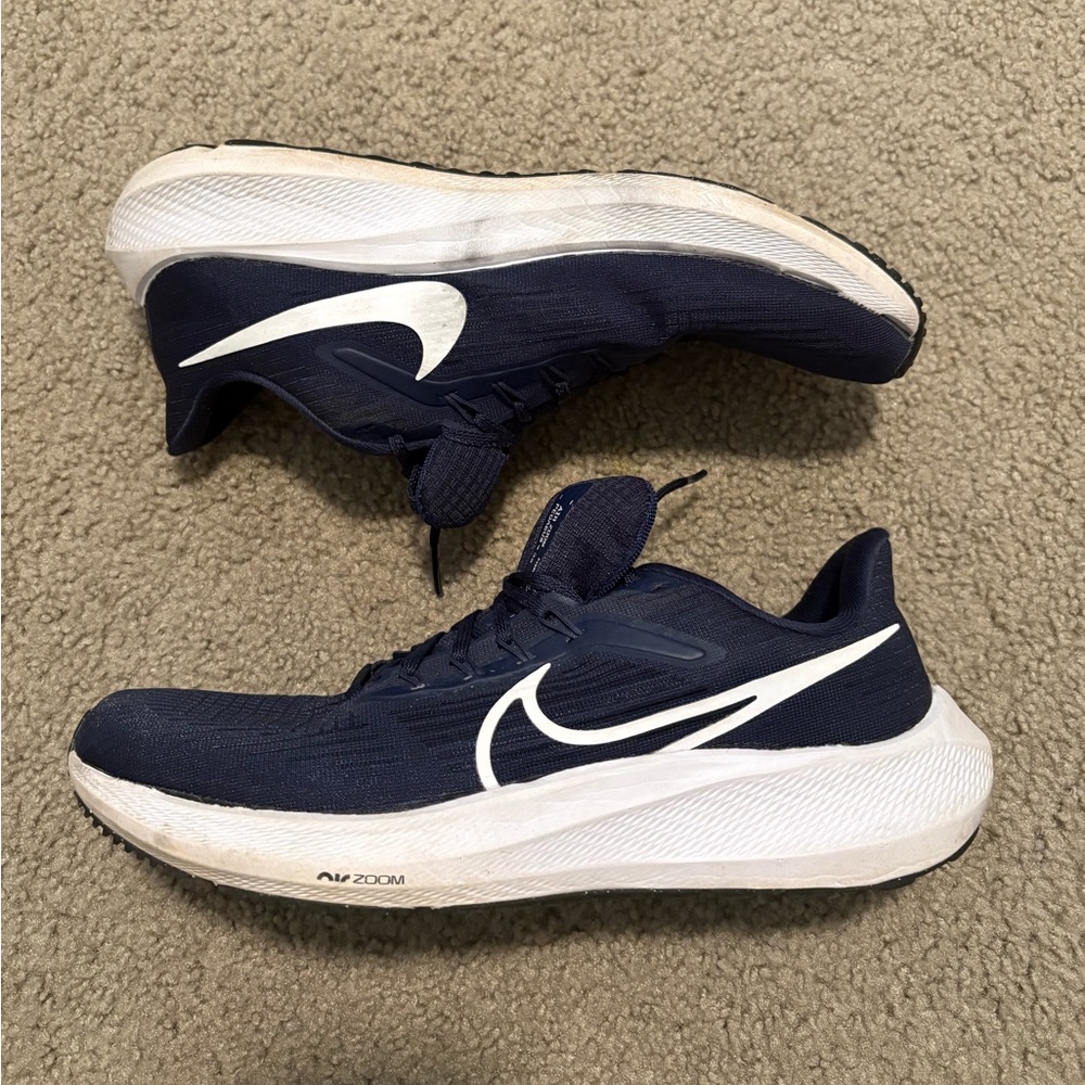 Nike Air Zoom Pegasus